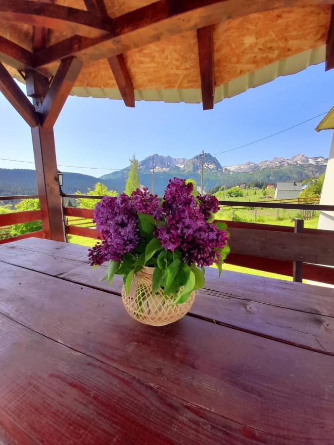 Durmitor Apartman Pitomine Žabljak Exterior foto
